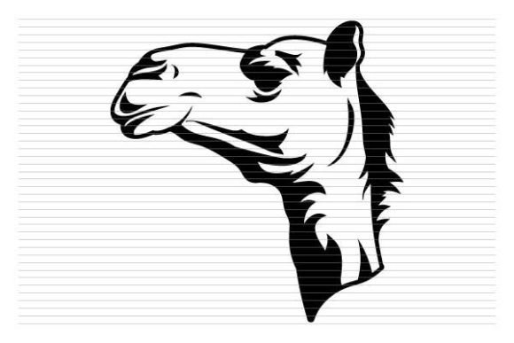 Camel Face Sahara Animal Wild: A Premium Font for Bold Branding
