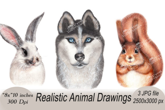 Realistic Animal Portraits Set: Premium Art for Your Projects